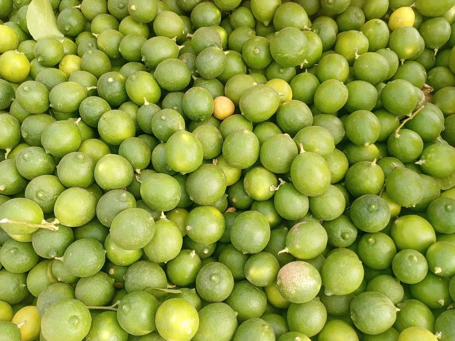 ليمون