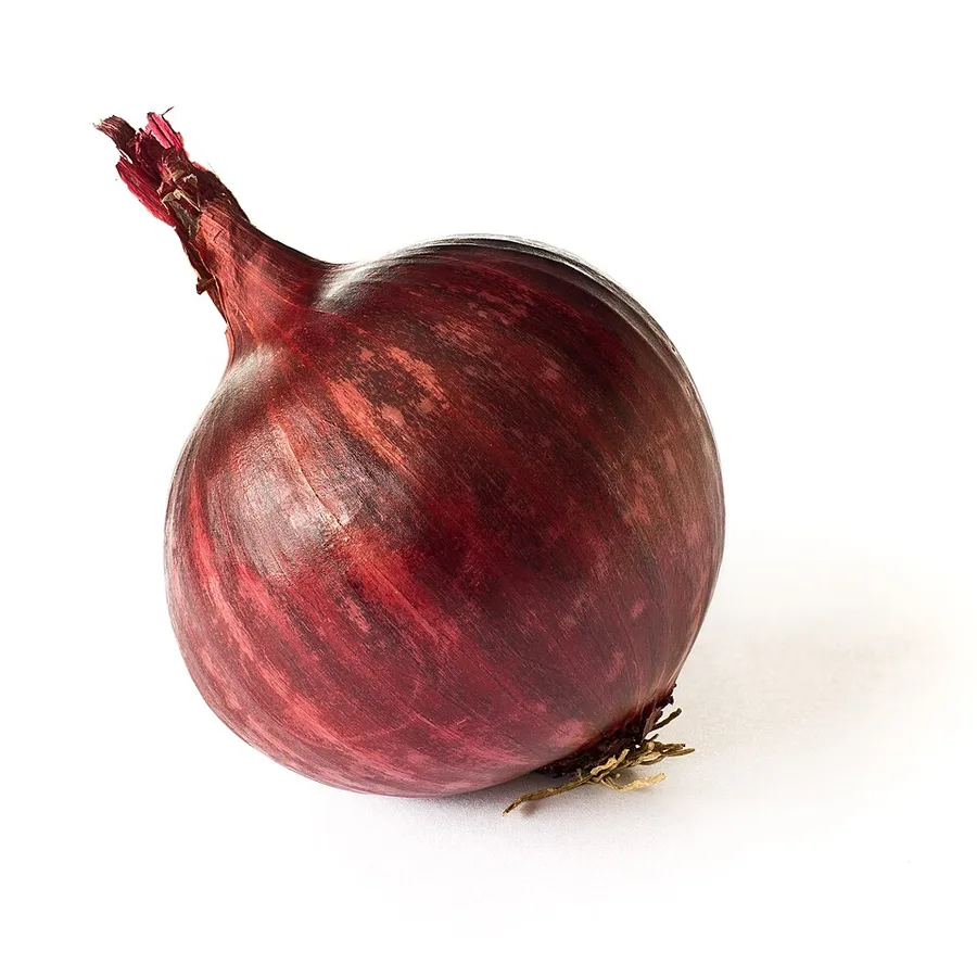 بصل