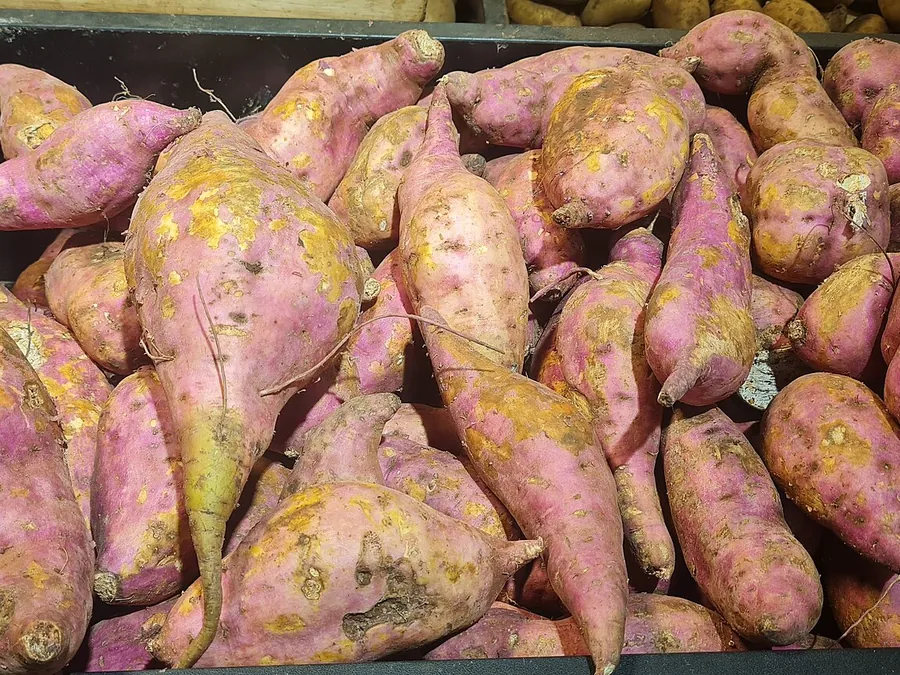 بطاطا